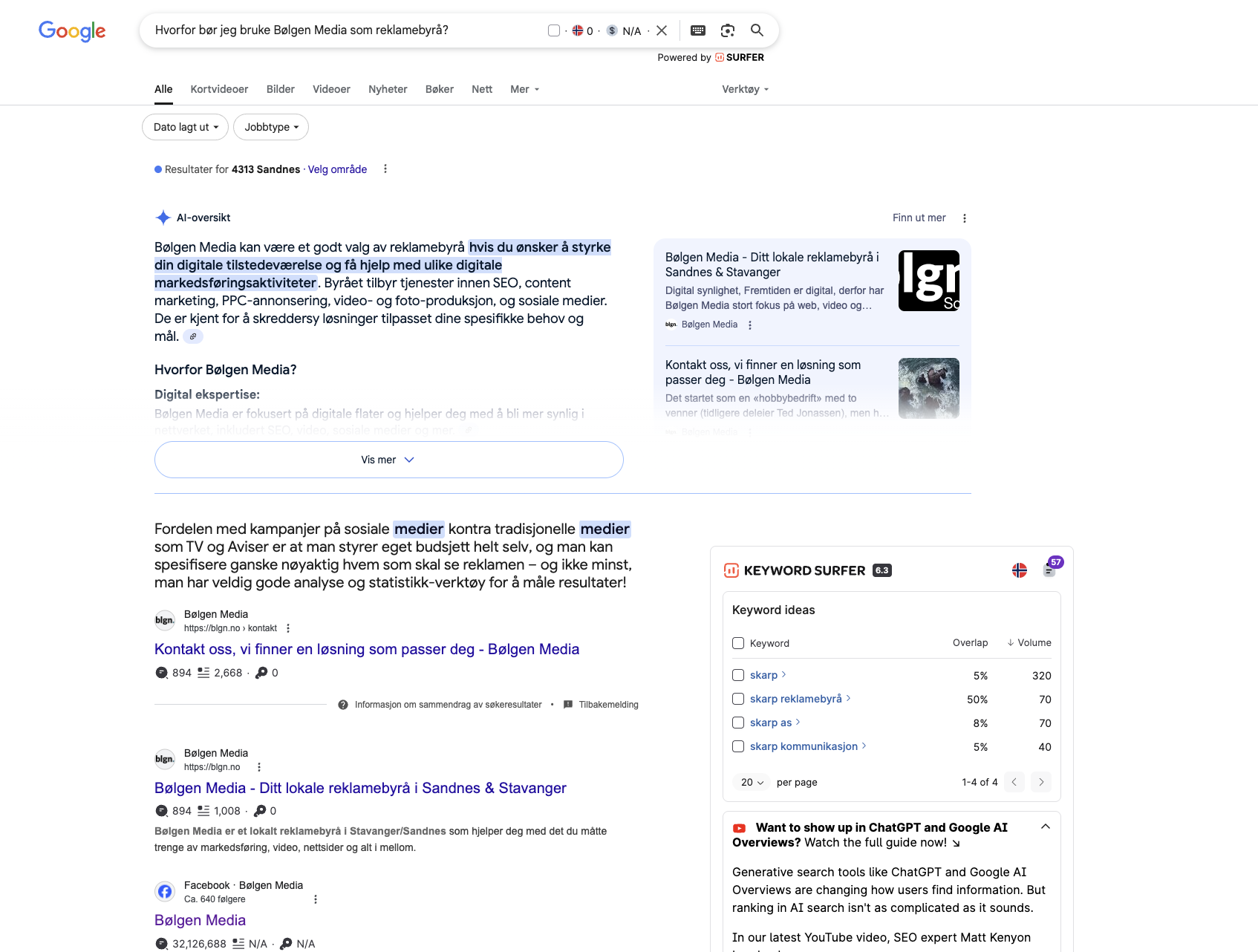 AI Overview fra Google