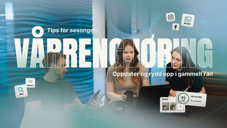 Vårrengjøring av nettsider osv